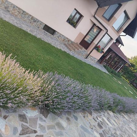 Casa Tomescu Curtea de Argeş Eksteriør billede