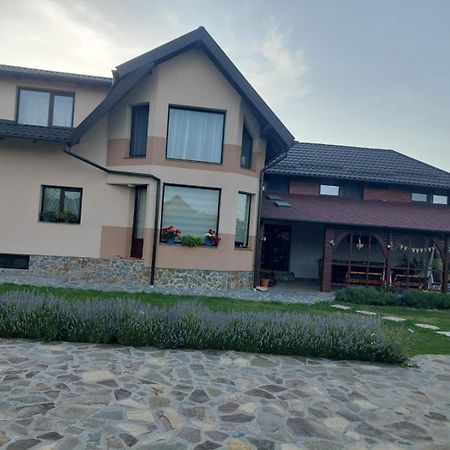 Casa Tomescu Curtea de Argeş Eksteriør billede